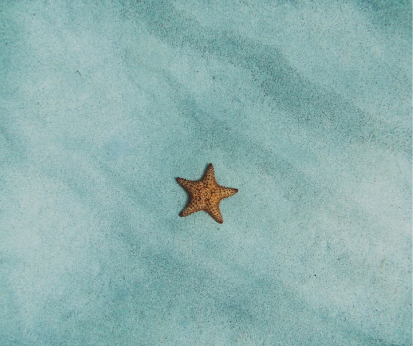 Roy A. Pleasants . Khosrow Heidari . Jill Ohar . James F. Donohue . Njira L. Lugogo . Sarojini Kanotra, Monica Kraft . David M. Mannino . Charlie B.(2022)